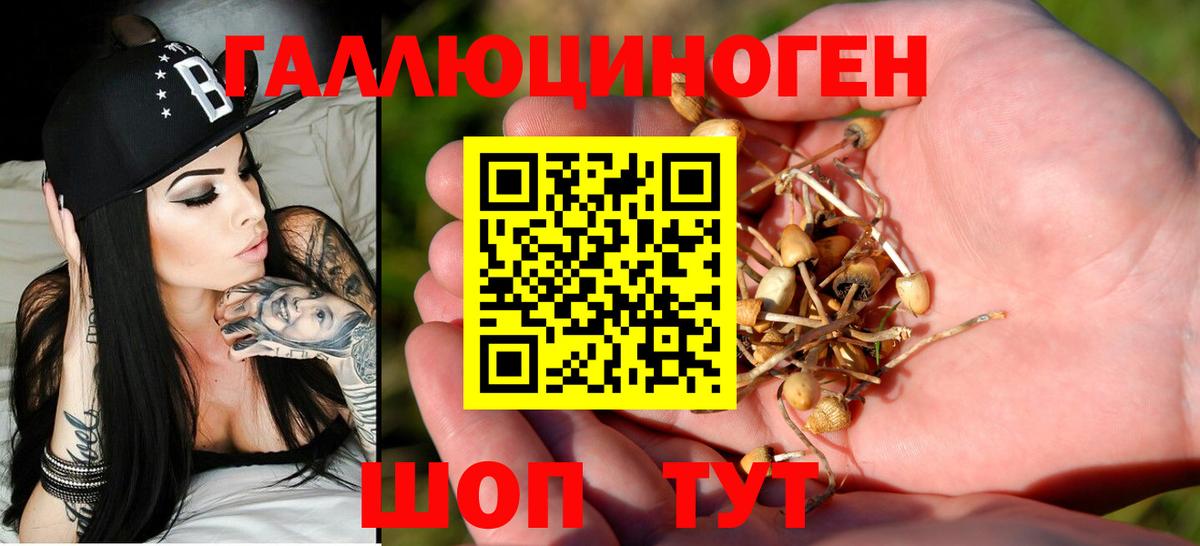 Галлюциногенные грибы мухоморы  Вход с VPN  Петрозаводск 