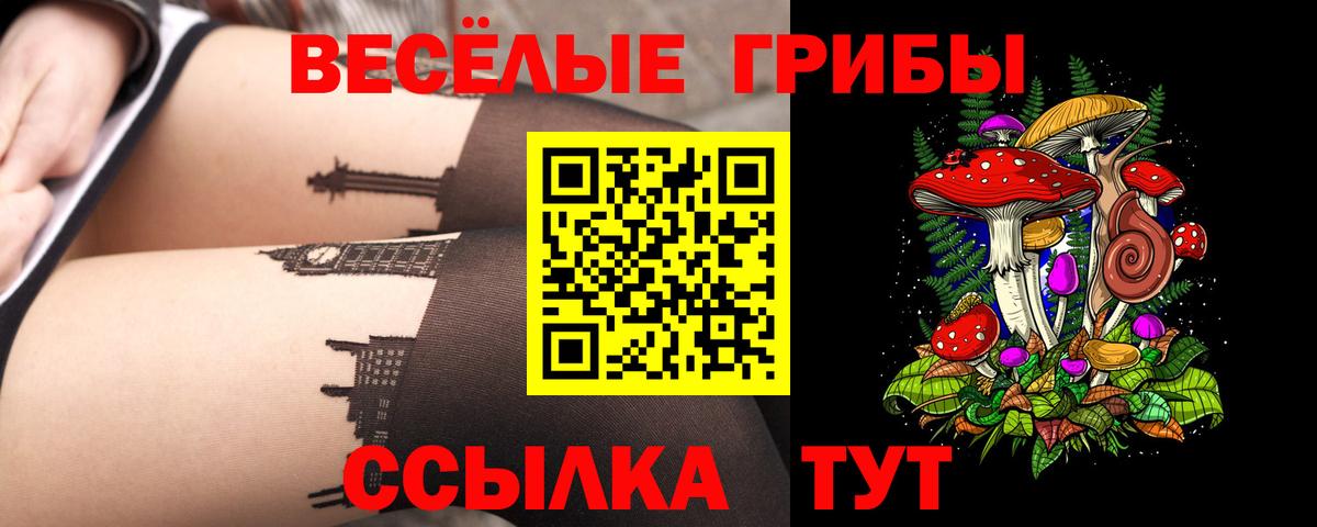 Псилоцибиновые грибы Psilocybine cubensis Петрозаводск